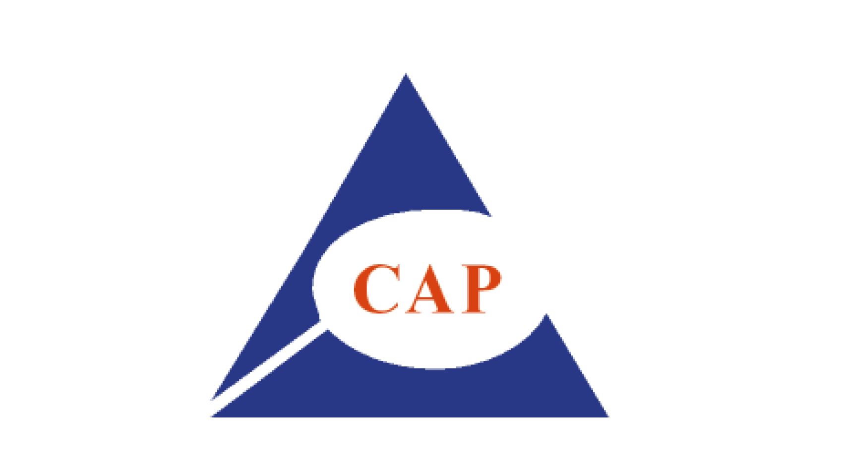 LogoCAP